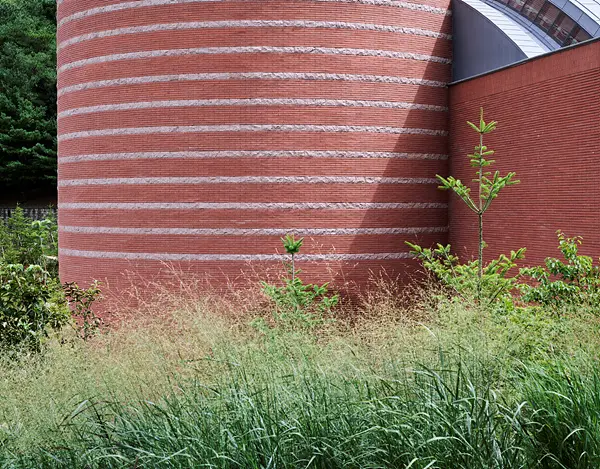 COLRN IM Low Photo By Kim Yongkwan 008